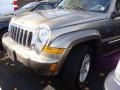 Light Khaki Metallic - Liberty Limited 4x4 Photo No. 5