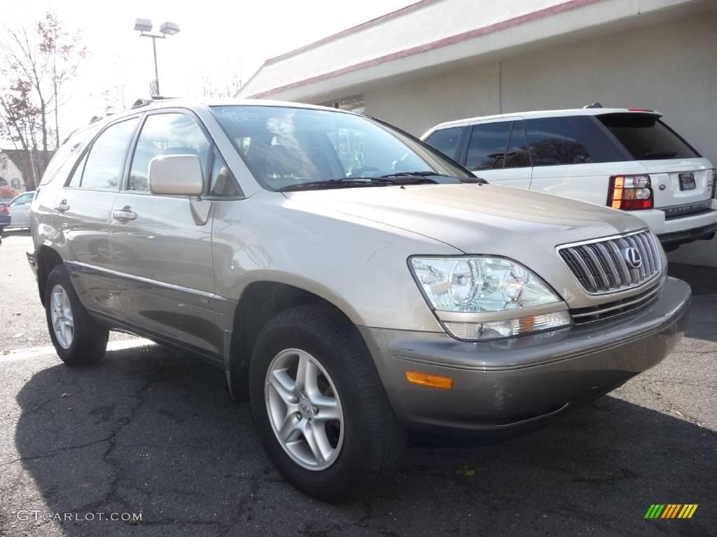 2003 RX 300 AWD - Burnished Gold Metallic / Ivory photo #2