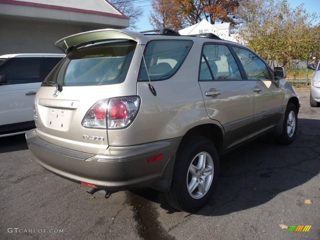 2003 RX 300 AWD - Burnished Gold Metallic / Ivory photo #3
