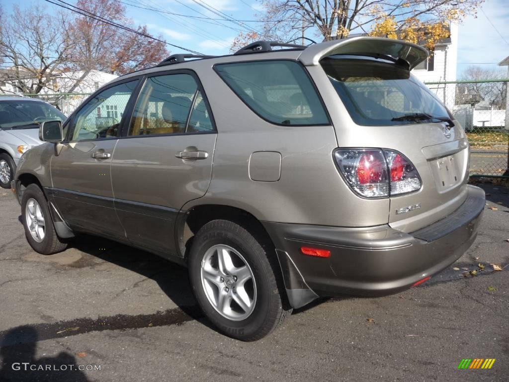 2003 RX 300 AWD - Burnished Gold Metallic / Ivory photo #4