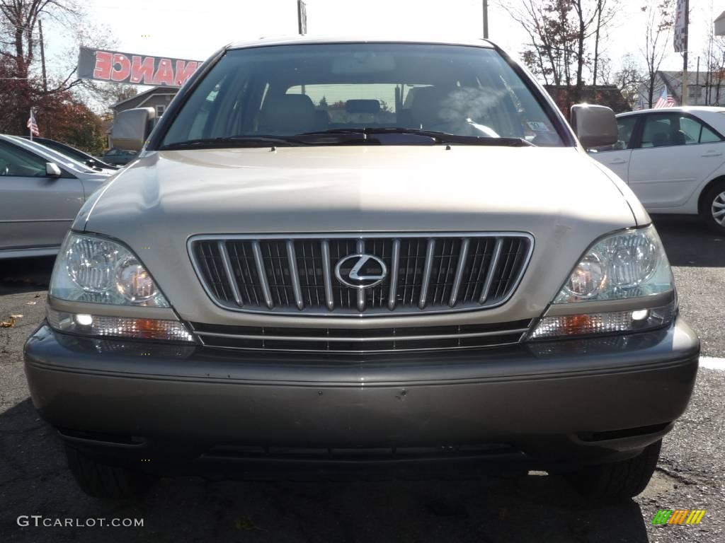 2003 RX 300 AWD - Burnished Gold Metallic / Ivory photo #16