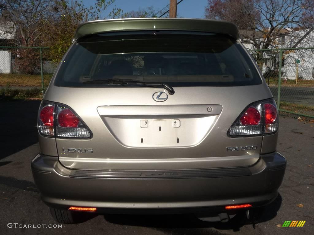 2003 RX 300 AWD - Burnished Gold Metallic / Ivory photo #17