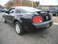 2005 Black Ford Mustang V6 Deluxe Coupe  photo #4