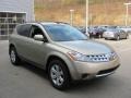 2006 Chardonnay Metallic Nissan Murano S AWD  photo #6