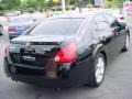 Onyx Black - Maxima 3.5 SE Photo No. 3