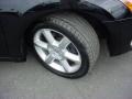 Onyx Black - Maxima 3.5 SE Photo No. 16