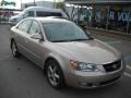 2007 Golden Beige Hyundai Sonata SE V6  photo #1