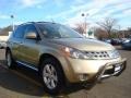 2007 Chardonnay Metallic Nissan Murano SL AWD  photo #14