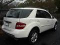 Alabaster White - ML 500 4Matic Photo No. 3