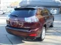 2008 Brandywine Mica Lexus RX 350 AWD  photo #4