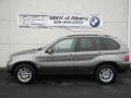 Sterling Grey Metallic - X5 3.0i Photo No. 1