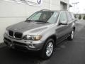 Sterling Grey Metallic - X5 3.0i Photo No. 2