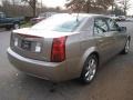 Cashmere - CTS Sedan Photo No. 4