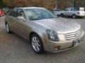 Cashmere - CTS Sedan Photo No. 6