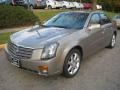 Cashmere - CTS Sedan Photo No. 8