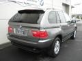 Sterling Grey Metallic - X5 3.0i Photo No. 26
