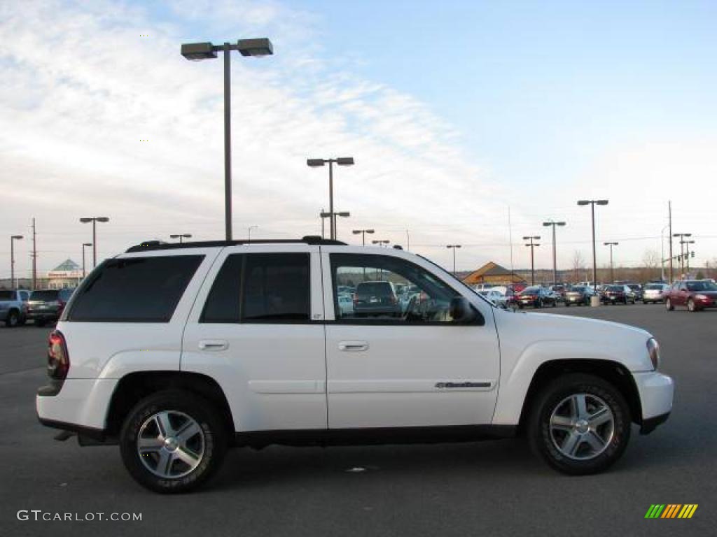 2004 TrailBlazer LS 4x4 - Summit White / Medium Pewter photo #4