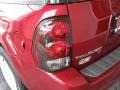 2007 Red Jewel Tint Coat Chevrolet TrailBlazer LT  photo #8