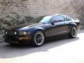 2006 Black Ford Mustang GT Premium Coupe  photo #15