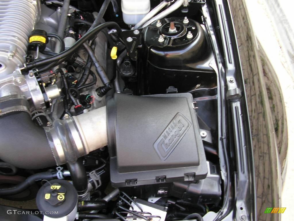 2006 Mustang GT Premium Coupe - Black / Dark Charcoal photo #28