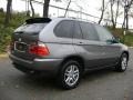 Sterling Grey Metallic - X5 3.0i Photo No. 5