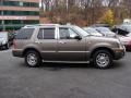 Mineral Grey Metallic - Mountaineer Premier AWD Photo No. 4