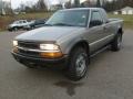 2002 Light Pewter Metallic Chevrolet S10 LS Extended Cab 4x4  photo #1