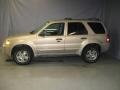 2007 Dune Pearl Metallic Ford Escape XLT V6 4WD  photo #2
