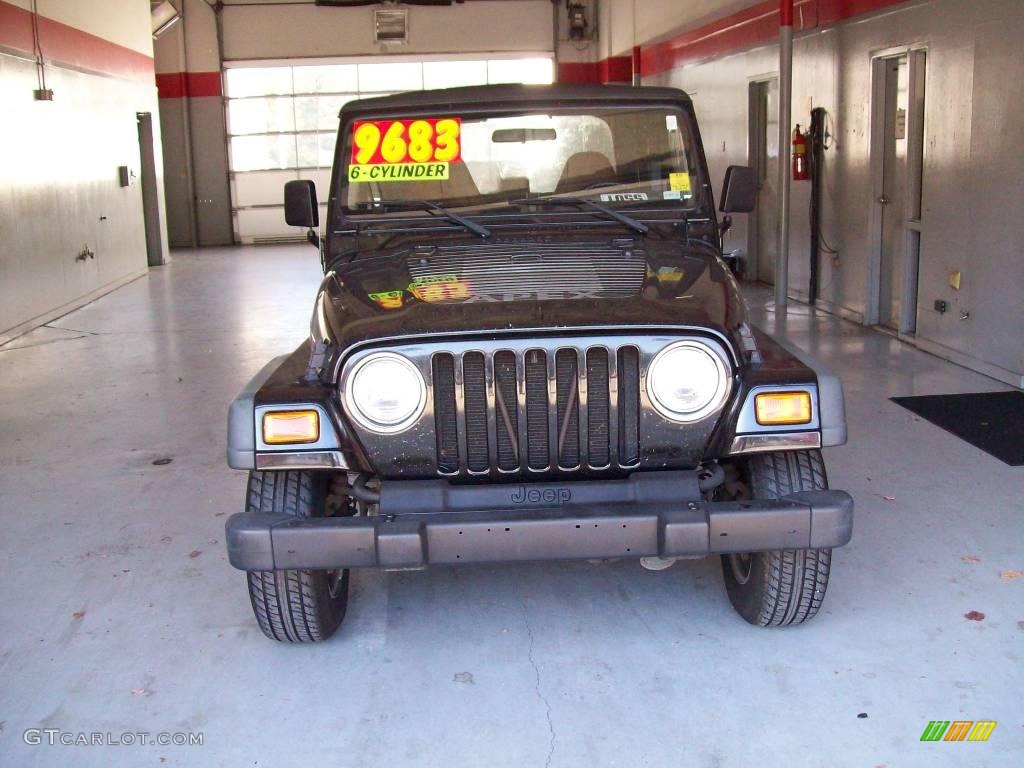 2002 Wrangler X 4x4 - Black / Camel Beige photo #2