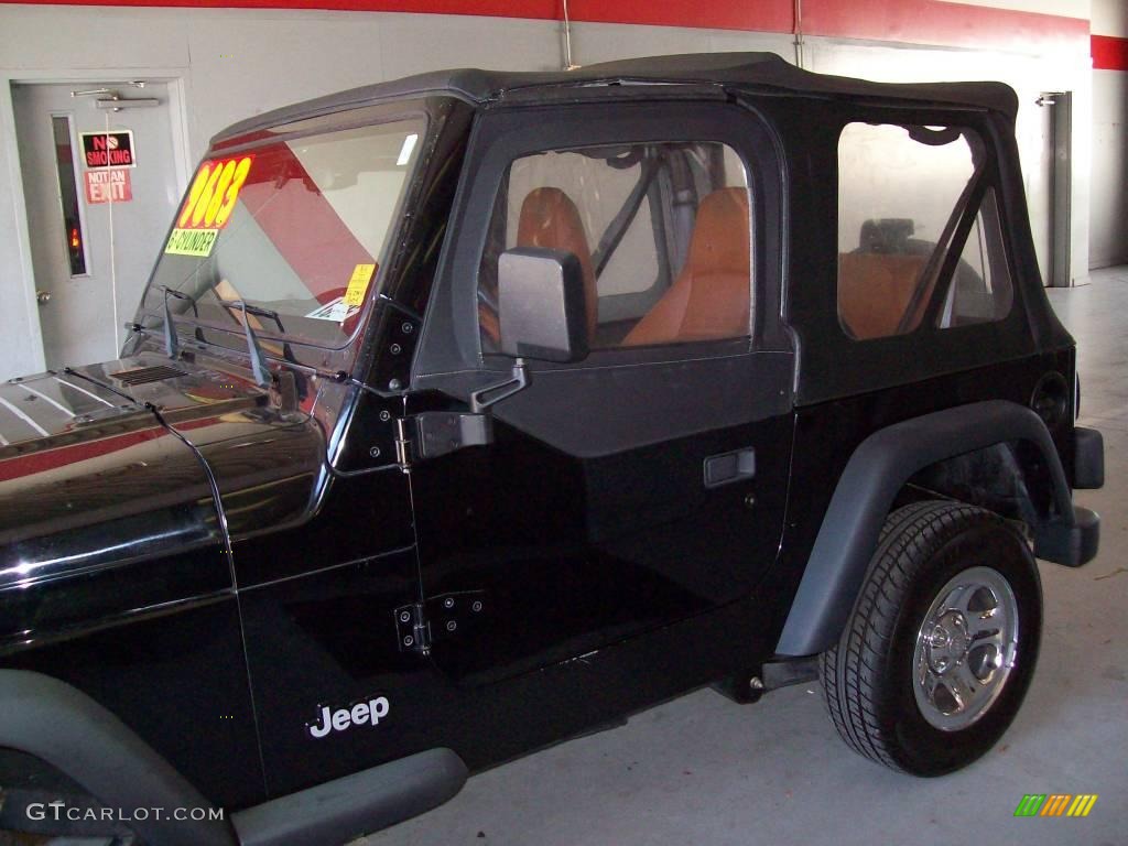 2002 Wrangler X 4x4 - Black / Camel Beige photo #4
