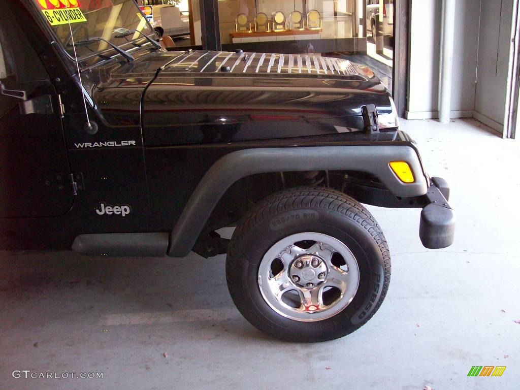 2002 Wrangler X 4x4 - Black / Camel Beige photo #10