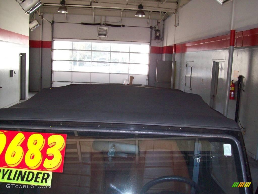 2002 Wrangler X 4x4 - Black / Camel Beige photo #12
