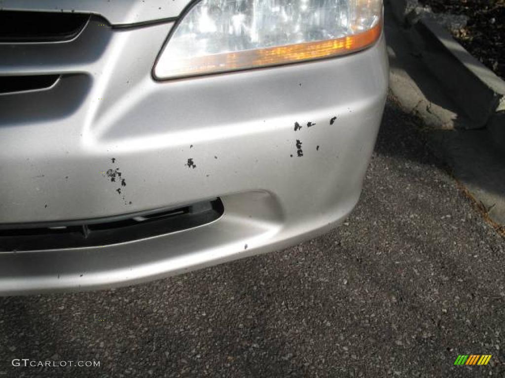 1998 Accord LX Sedan - Regent Silver Pearl / Quartz photo #10