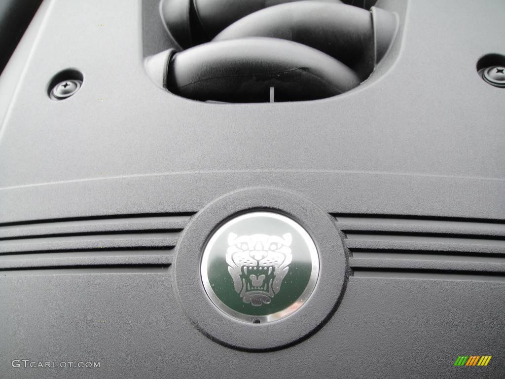 2006 Jaguar XK XK8 Convertible 4.2 Liter DOHC 32-Valve VVT V8 Engine Photo #21964361