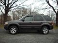 2007 Dark Stone Metallic Ford Escape XLT V6 4WD  photo #1