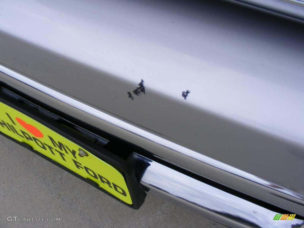 2006 F150 XLT SuperCrew - Silver Metallic / Medium/Dark Flint photo #11
