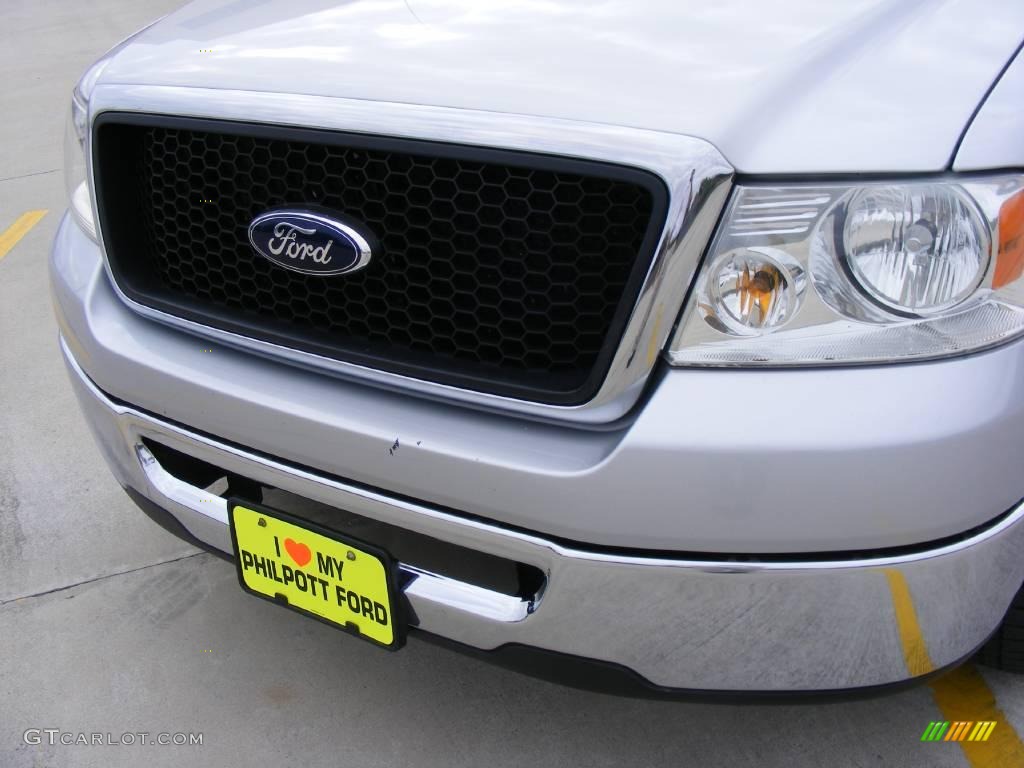 2006 F150 XLT SuperCrew - Silver Metallic / Medium/Dark Flint photo #12