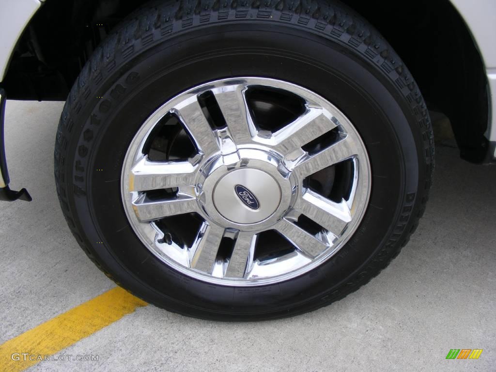 2006 F150 XLT SuperCrew - Silver Metallic / Medium/Dark Flint photo #13