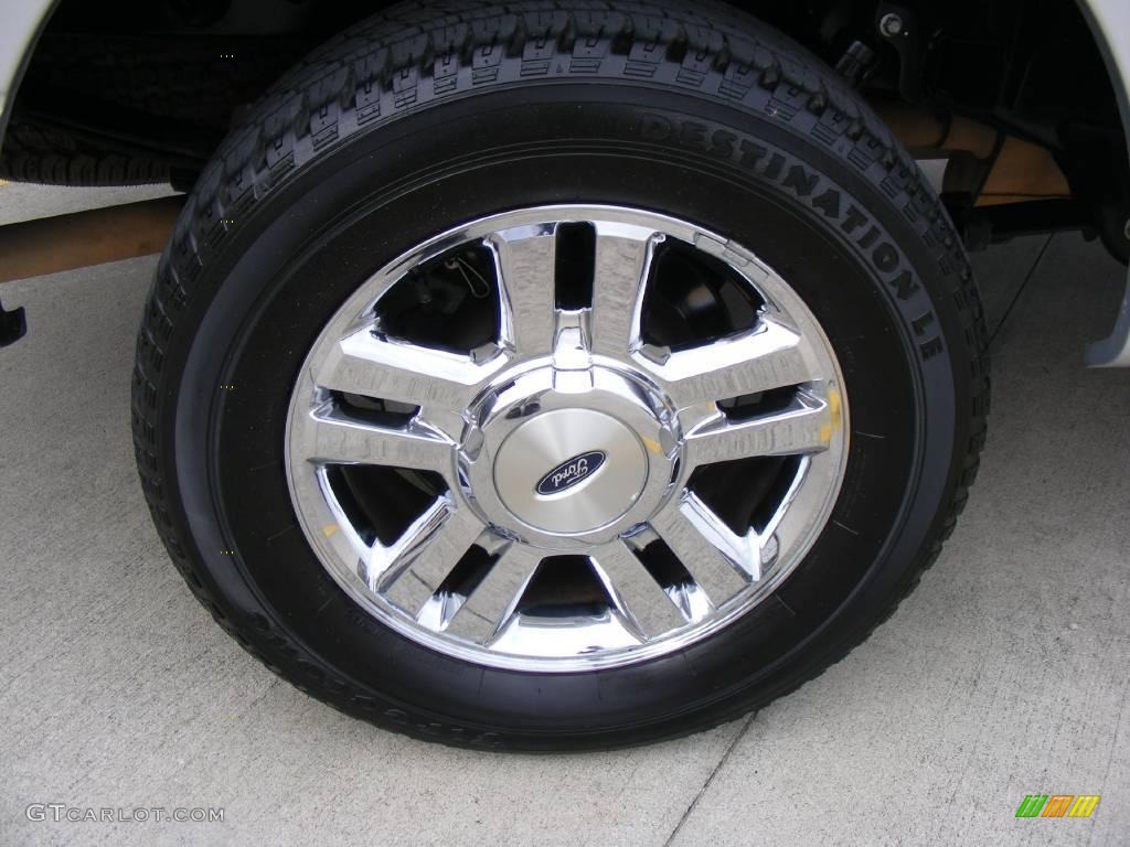 2006 F150 XLT SuperCrew - Silver Metallic / Medium/Dark Flint photo #15