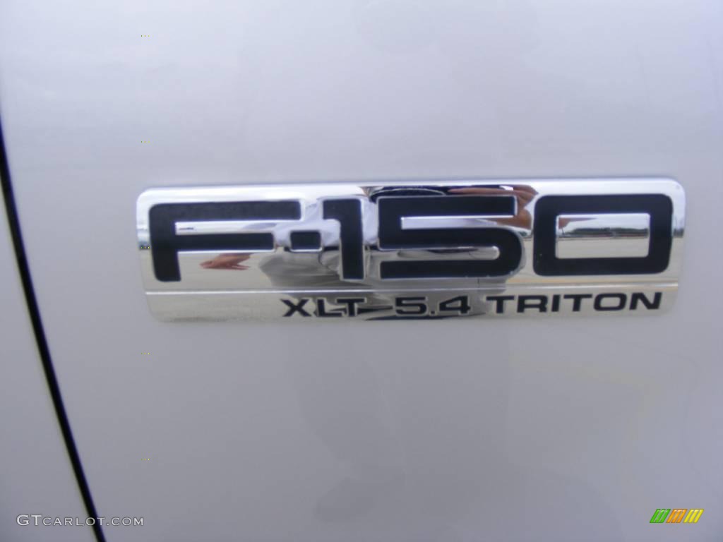 2006 F150 XLT SuperCrew - Silver Metallic / Medium/Dark Flint photo #17