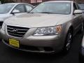 Camel Pearl - Sonata GLS Photo No. 3