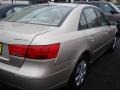 Camel Pearl - Sonata GLS Photo No. 4