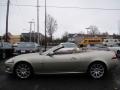 Winter Gold Metallic - XK XK8 Convertible Photo No. 3