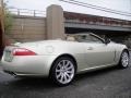 Winter Gold Metallic - XK XK8 Convertible Photo No. 7