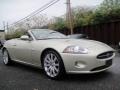 Winter Gold Metallic - XK XK8 Convertible Photo No. 10