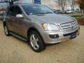 2007 Pewter Metallic Mercedes-Benz ML 350 4Matic  photo #7