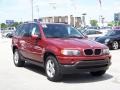 Maroon - X5 3.0i Photo No. 3