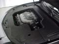 Crystal Black Pearl - TL 3.5 Photo No. 33
