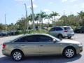 Dakar Beige Metallic - A6 3.2 Sedan Photo No. 6