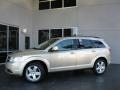 White Gold - Journey SXT AWD Photo No. 5